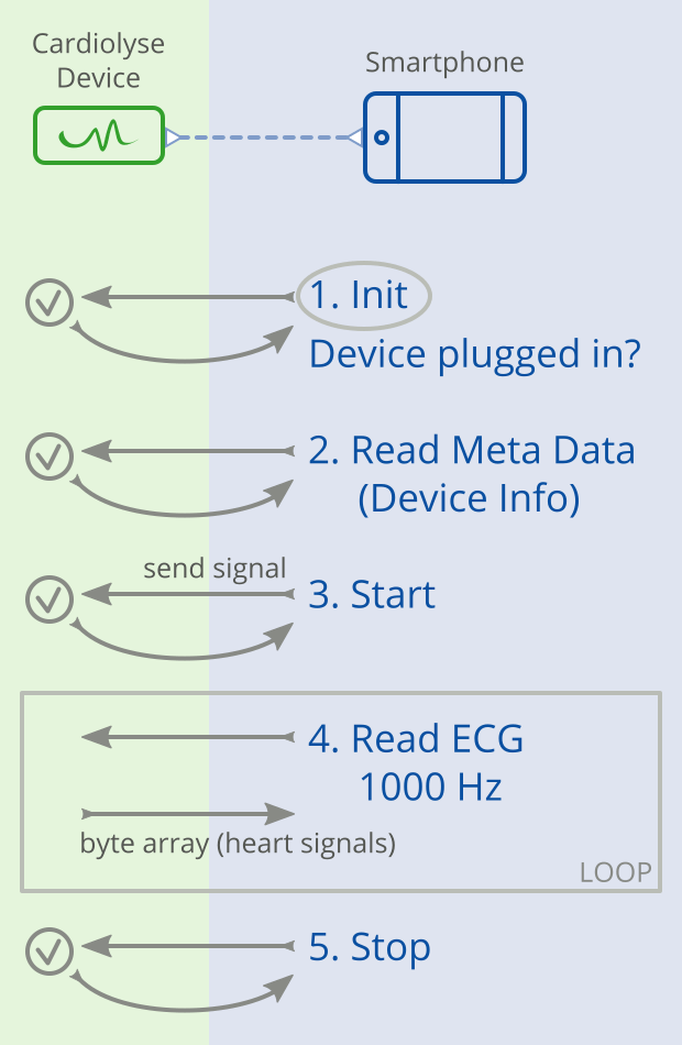 ECG analysis